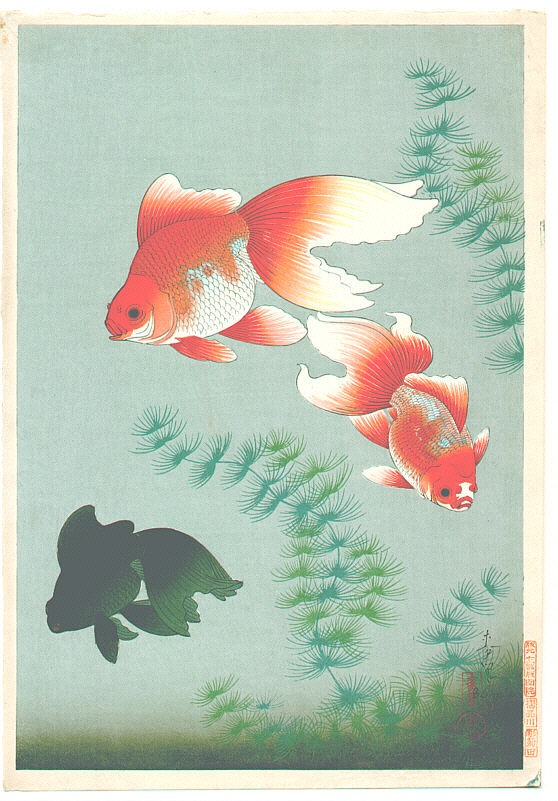 Fish_Goldfish