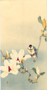 birdonmagnolia