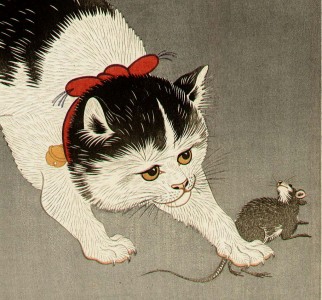 catmouse