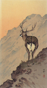 deer-mountain