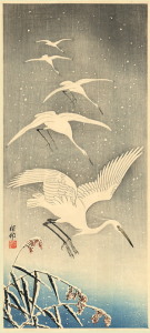 egretsinsnow