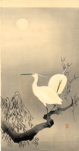 egretsmoon