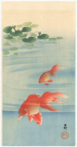 goldfish3