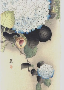 hydrangeabird