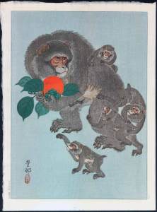 monkeyfamily2