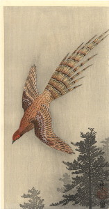 pheasantinflight