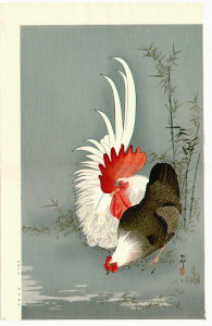 roosterhen2