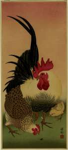 roosterhenchick