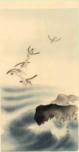 seagullsonshore