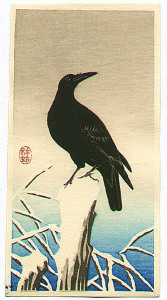 small_crow