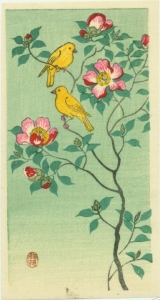 small_yellowbirds