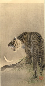 tigermoon