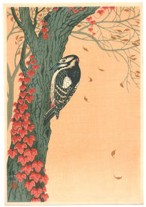 woodpecker2