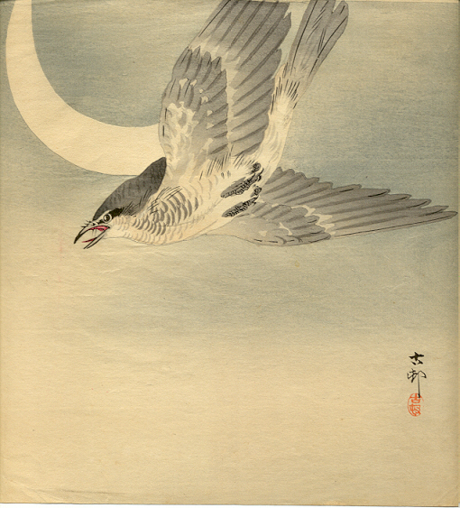 birdmoon