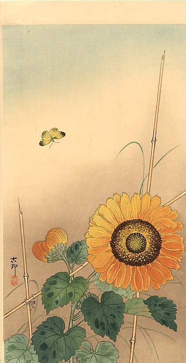 butterfly-sunflower