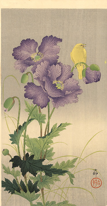 canarypurpleflower