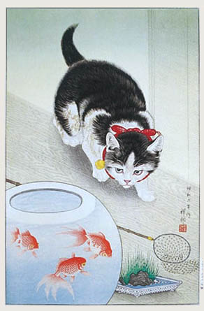 cat-goldfish