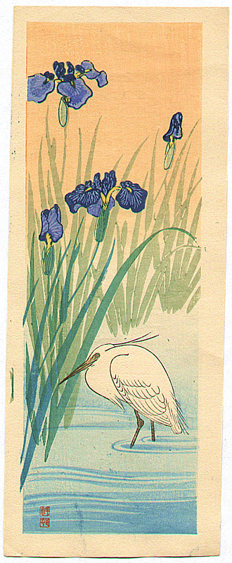 egret_iris