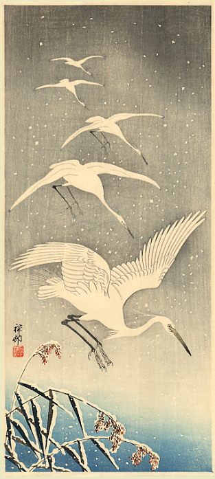 egretsinsnow