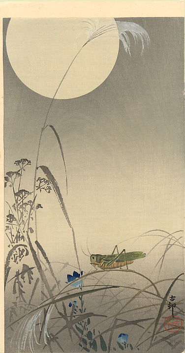 grasshoppermoon