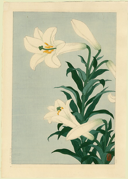 lilies