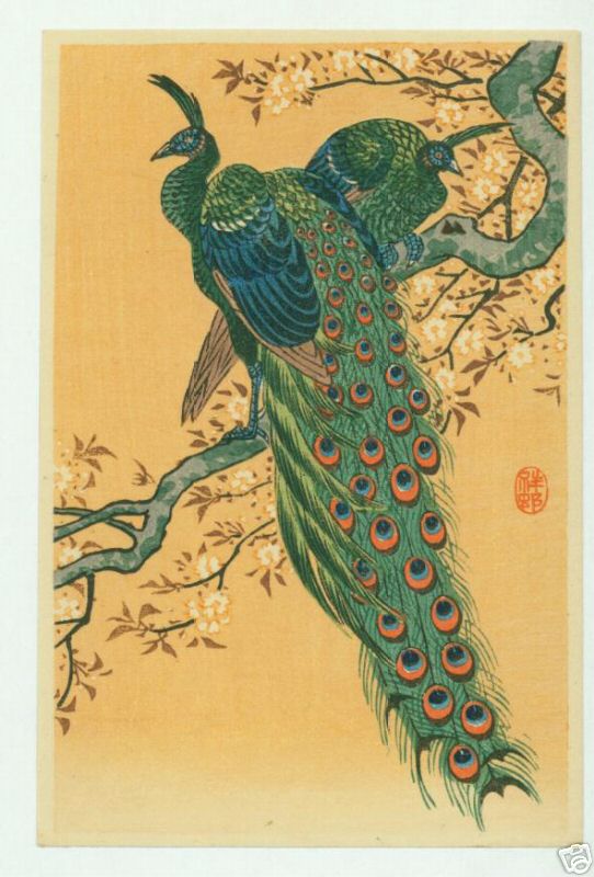 peacocks_koban