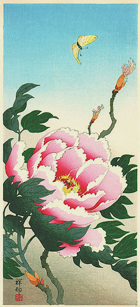 peony-butterfly