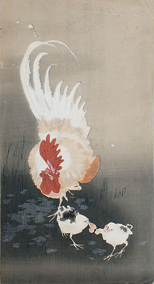 rooster2chicks