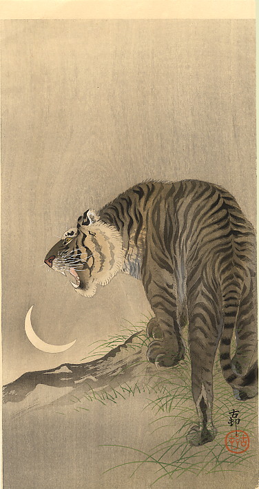 tigermoon