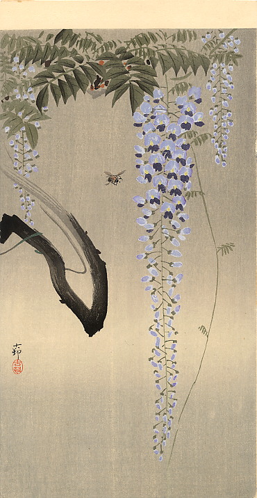 wisteriabee