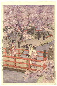 CherryBlossomVieweing