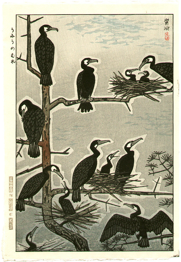 Cormorants