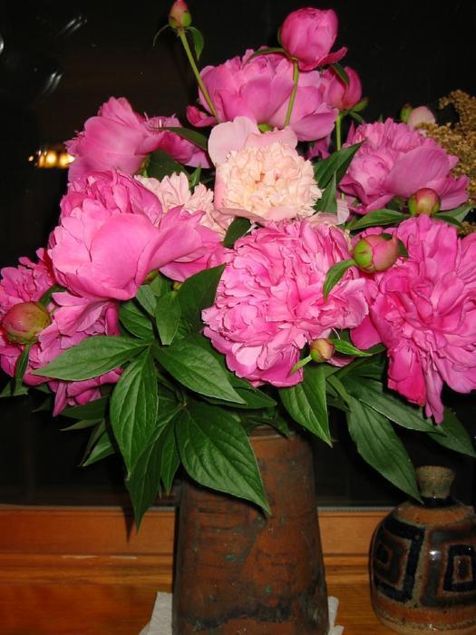 MorePeonies2