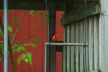 dsc_0218 dsc_0218