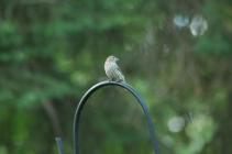 dsc_0313 dsc_0313