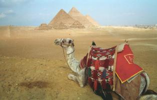 Egypt_156