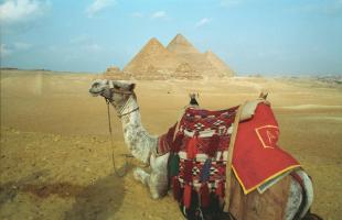 Egypt_282