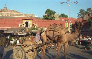 India1994_0718