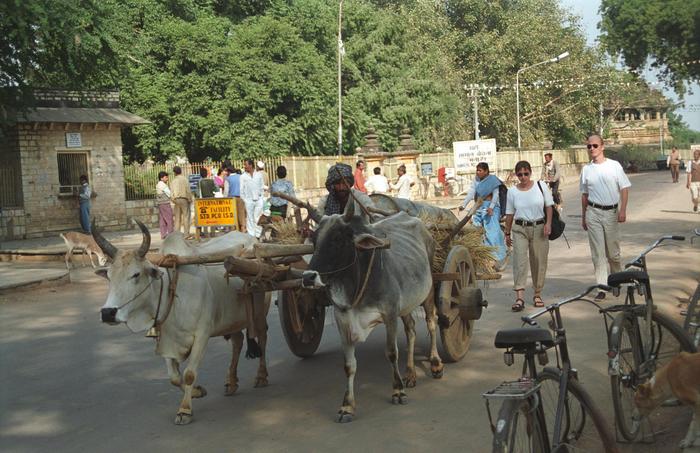 India1994_0115