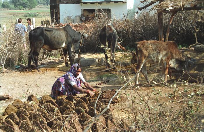 India1994_0169