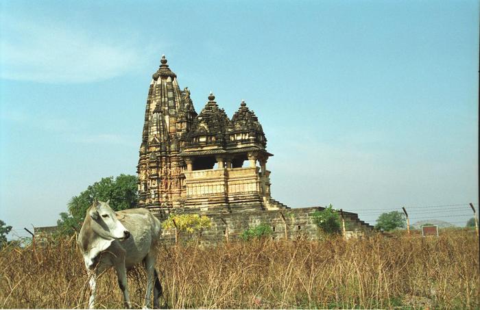 India1994_0170