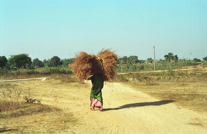 India1994_0197