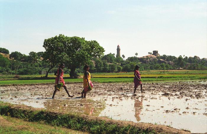 India1994_0335