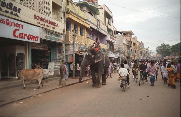 India1994_0374