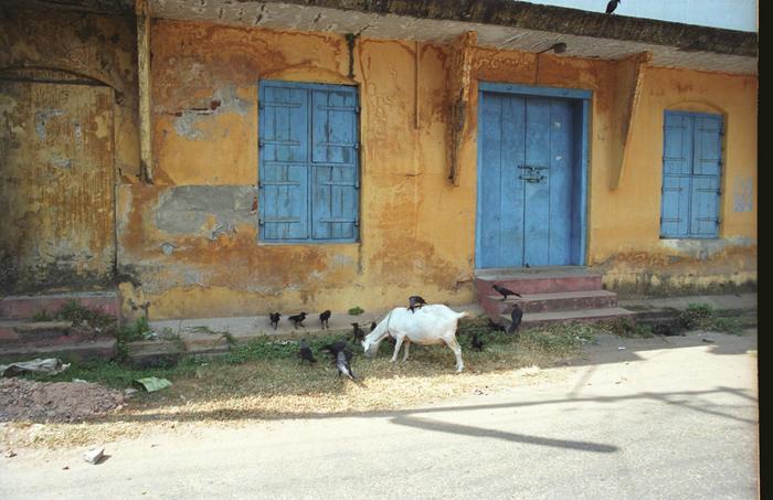 India1994_0461