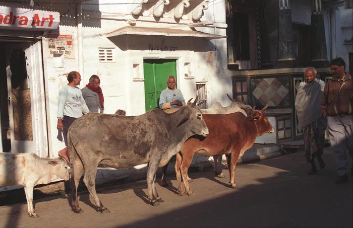 India1994_0467