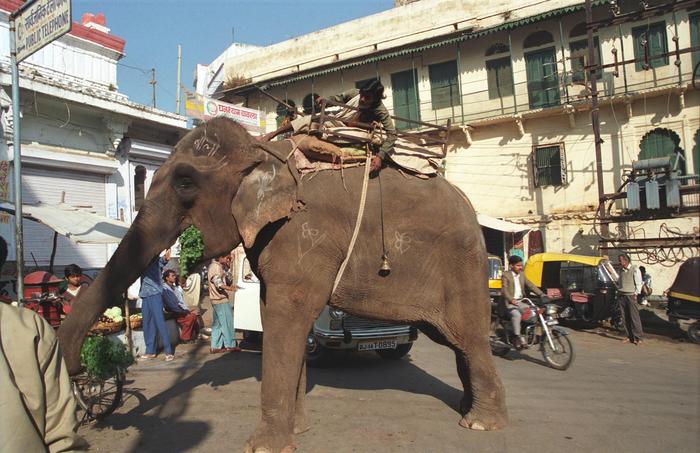 India1994_0471