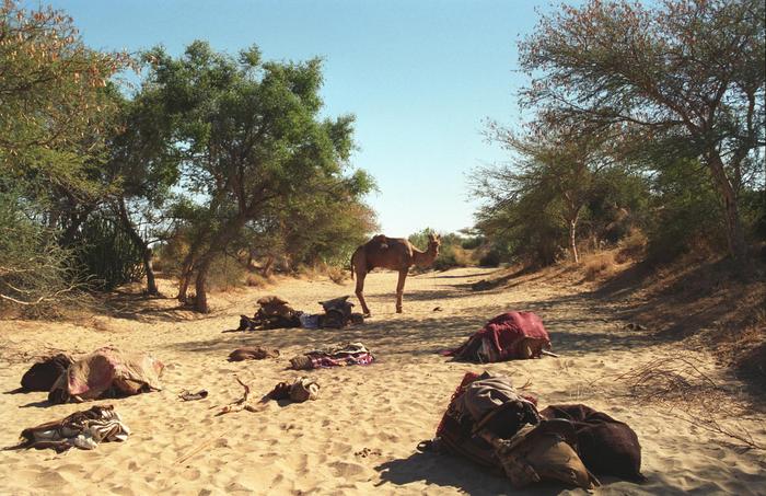 India1994_0666