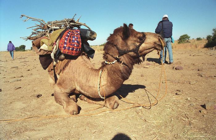 India1994_0677