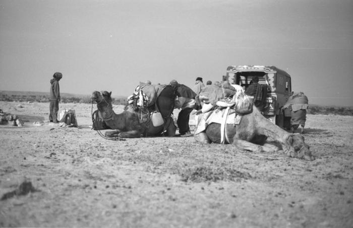 India1994_0861